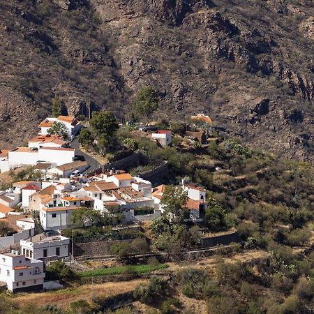 Casa Isabela With Roque Nublo View Apartman Tejeda Kültér fotó